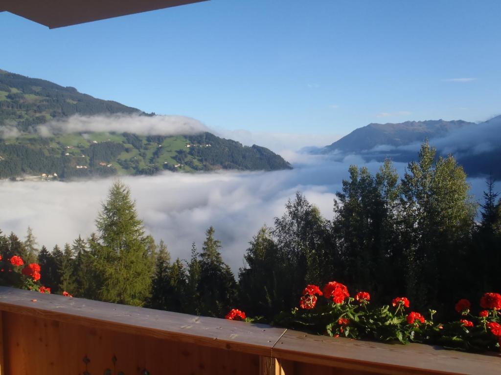 Landhaus Alpenjaeger Hainzenberg Szoba fotó
